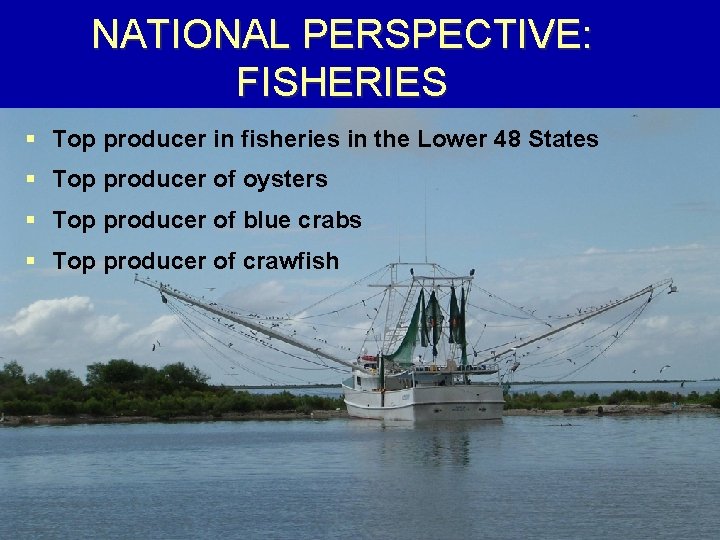 NATIONAL PERSPECTIVE: FISHERIES § Top producer in fisheries in the Lower 48 States §