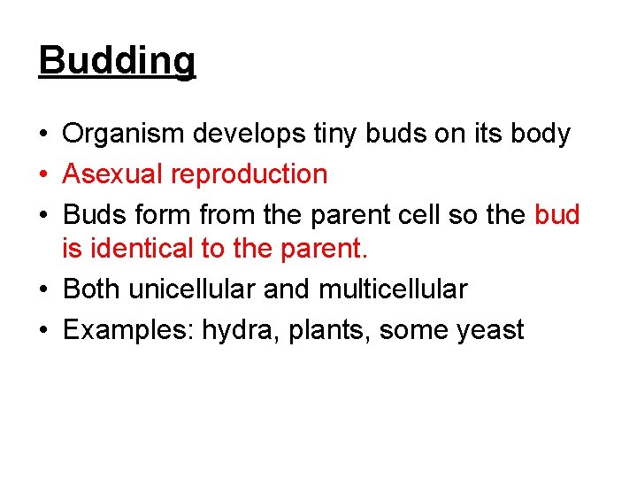 Budding • Organism develops tiny buds on its body • Asexual reproduction • Buds