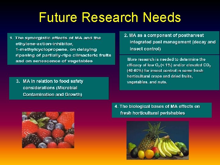 Future Research Needs 