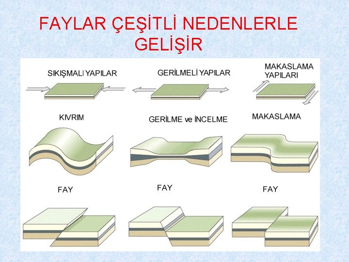 FAYLAR ÇEŞİTLİ NEDENLERLE GELİŞİR 