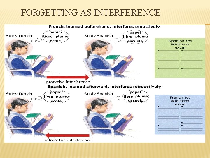 FORGETTING AS INTERFERENCE 