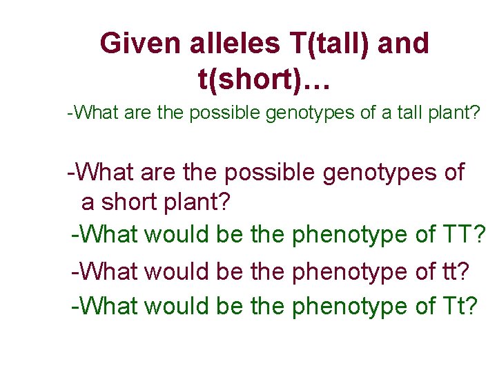 Given alleles T(tall) and t(short)… -What are the possible genotypes of a tall plant?