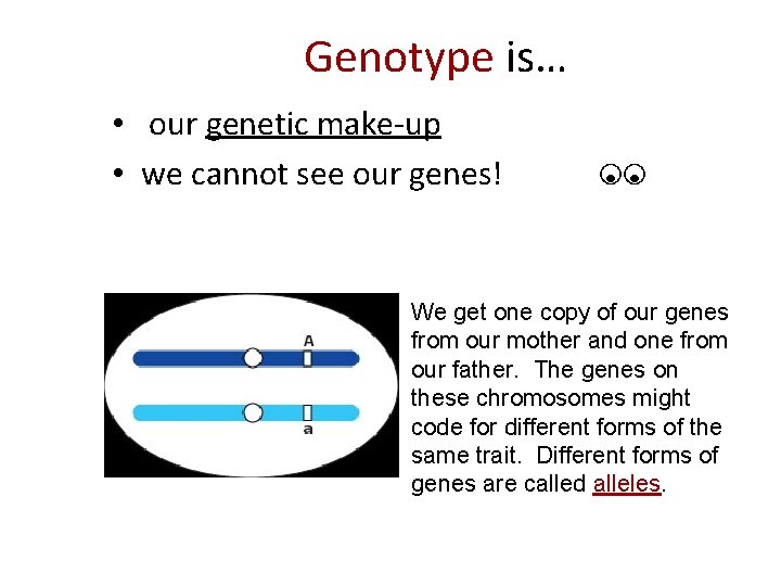 Genotype is… • our genetic make-up • we cannot see our genes! We get