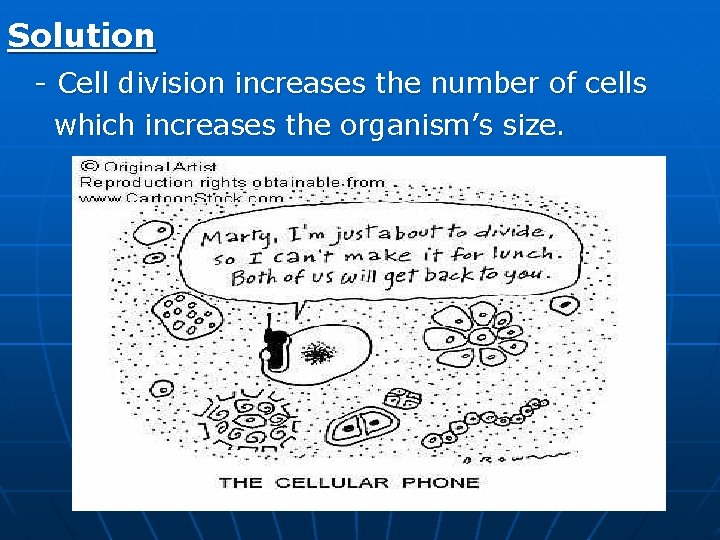 Solution - Cell division increases the number of cells which increases the organism’s size.