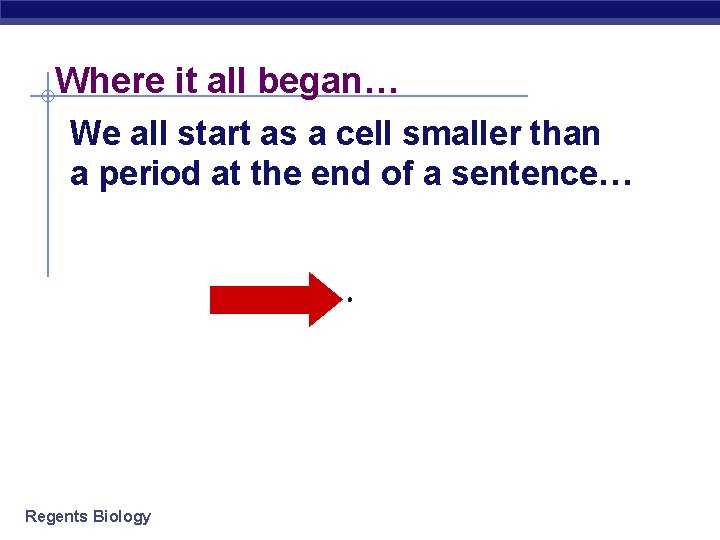 Where it all began… We all start as a cell smaller than a period