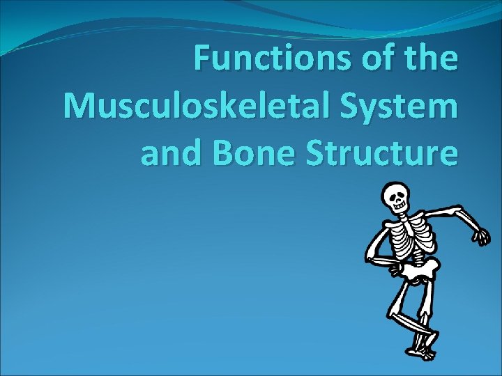 Functions of the Musculoskeletal System and Bone Structure 