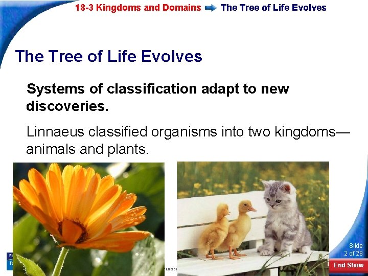 18 -3 Kingdoms and Domains The Tree of Life Evolves Systems of classification adapt