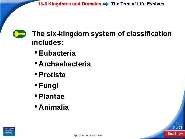 18 -3 Kingdoms and Domains The Tree of Life Evolves The six-kingdom system of
