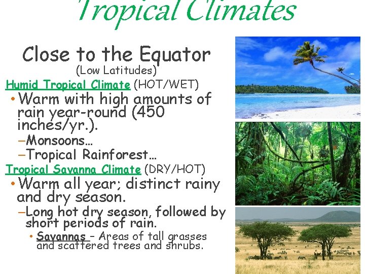 Tropical Climates Close to the Equator (Low Latitudes) Humid Tropical Climate (HOT/WET) • Warm