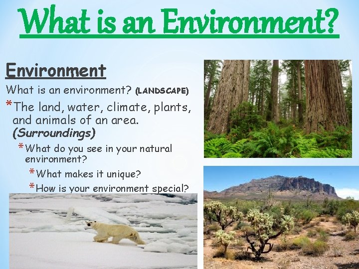 What is an Environment? Environment What is an environment? (LANDSCAPE) *The land, water, climate,