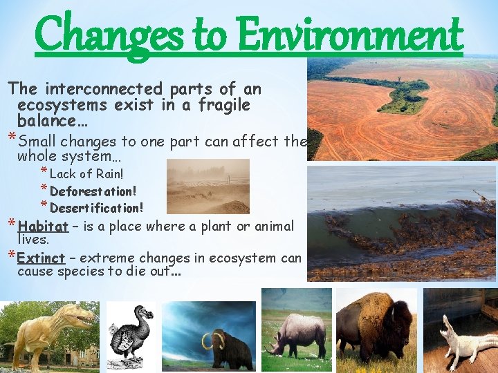 Changes to Environment The interconnected parts of an ecosystems exist in a fragile balance…