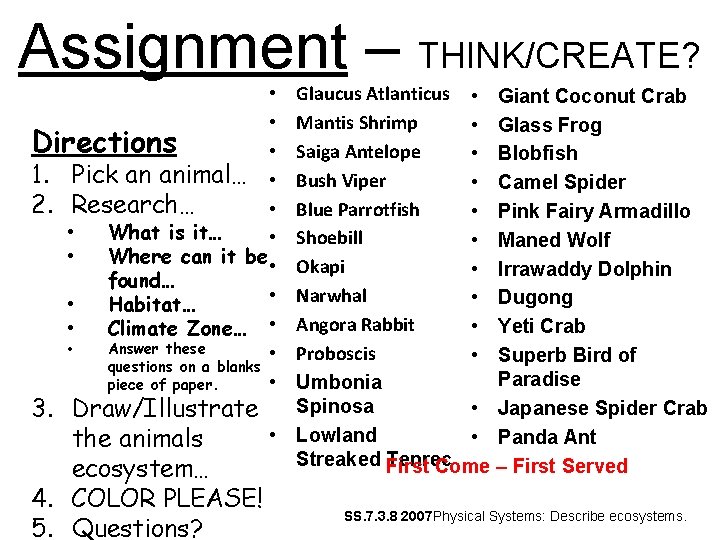 Assignment – THINK/CREATE? Glaucus Atlanticus • Giant Coconut Crab Mantis Shrimp • Glass Frog