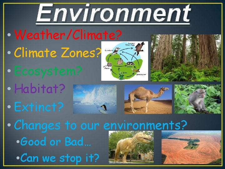 Environment • Weather/Climate? • Climate Zones? • Ecosystem? • Habitat? • Extinct? • Changes