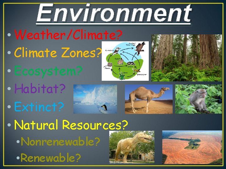 Environment • Weather/Climate? • Climate Zones? • Ecosystem? • Habitat? • Extinct? • Natural