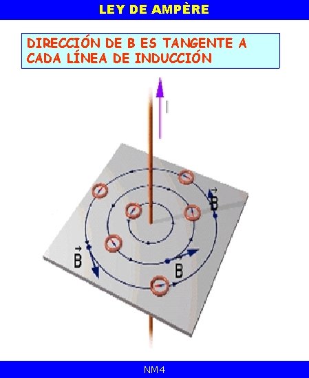 LEY DE AMPÈRE DIRECCIÓN DE B ES TANGENTE A CADA LÍNEA DE INDUCCIÓN NM