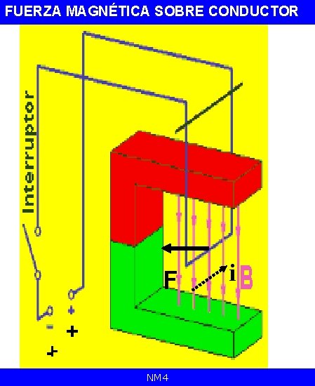 FUERZA MAGNÉTICA SOBRE CONDUCTOR F -+ +NM 4 i 
