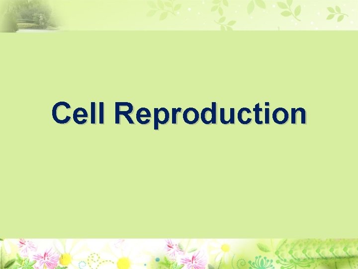 Cell Reproduction 