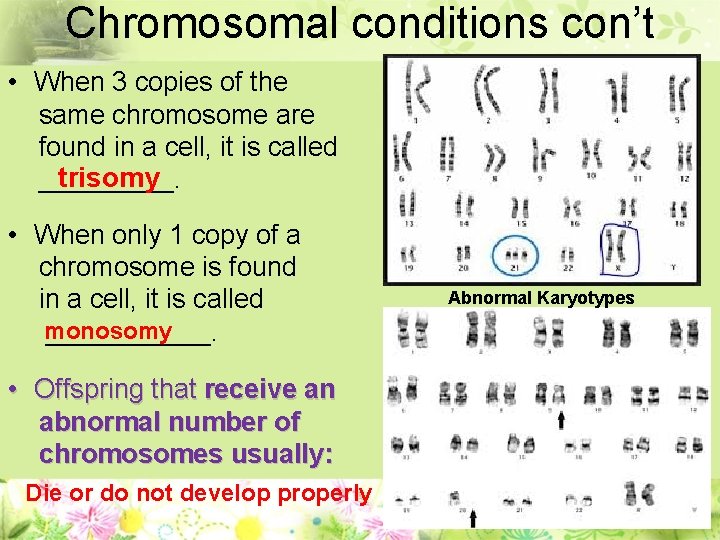 Chromosomal conditions con’t • When 3 copies of the same chromosome are found in