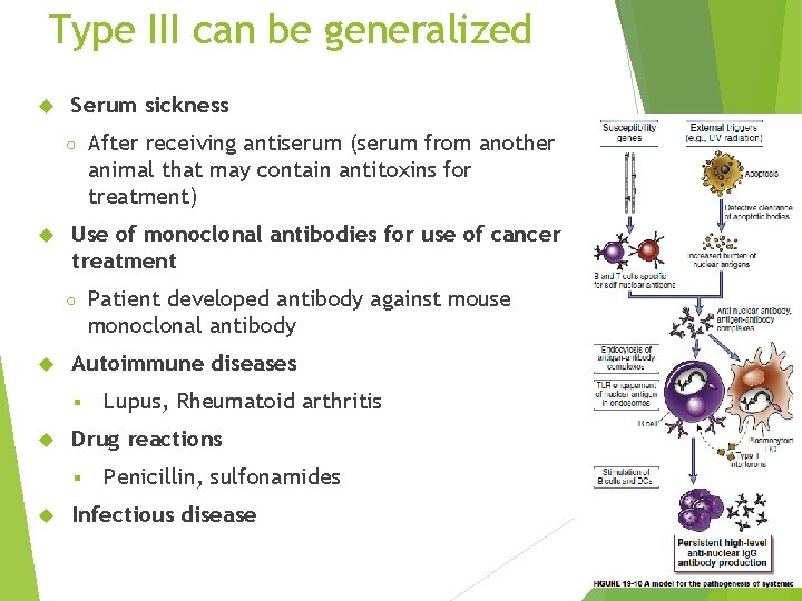 Type III can be generalized Serum sickness ○ Use of monoclonal antibodies for use