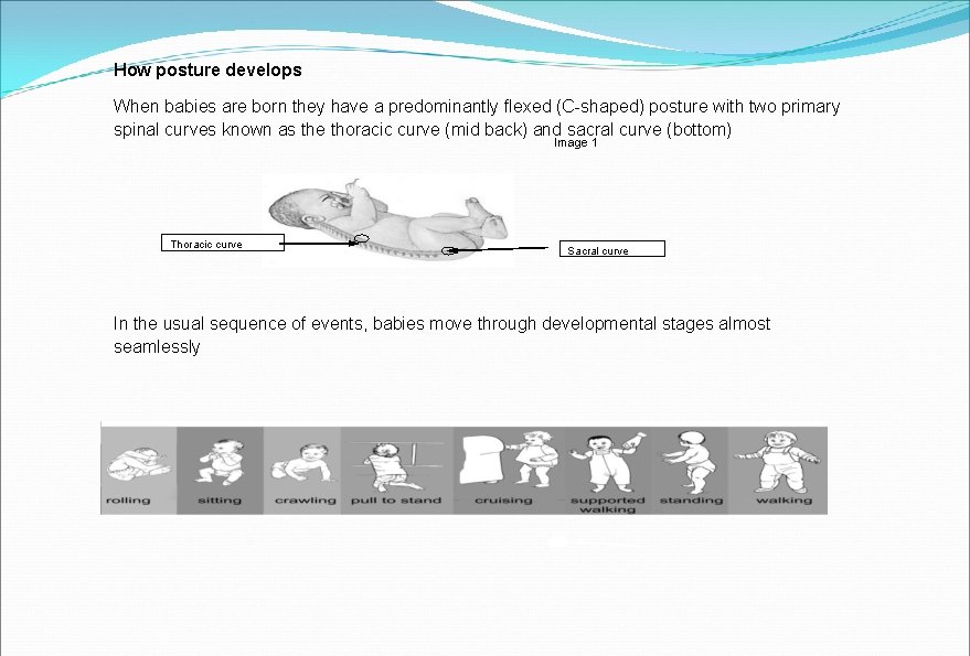 How posture develops When babies are born they have a predominantly flexed (C-shaped) posture How posture develops When babies are born they have a predominantly flexed (C-shaped) posture