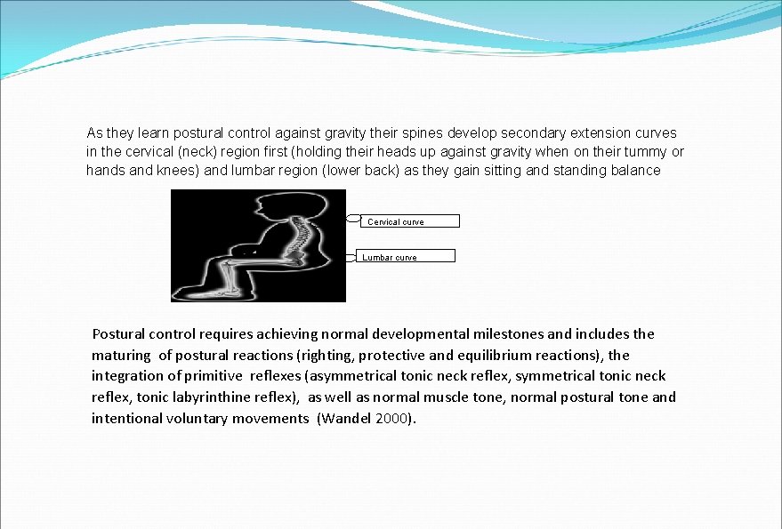 As they learn postural control against gravity their spines develop secondary extension curves in As they learn postural control against gravity their spines develop secondary extension curves in