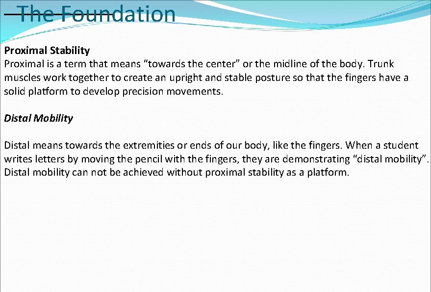 The Foundation Proximal Stability Proximal is a term that means “towards the center” or The Foundation Proximal Stability Proximal is a term that means “towards the center” or