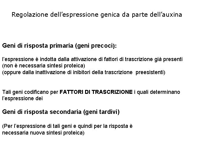 Regolazione dell’espressione genica da parte dell’auxina Geni di risposta primaria (geni precoci): l’espressione è