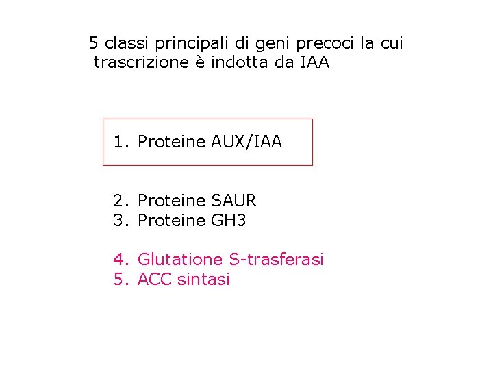 5 classi principali di geni precoci la cui trascrizione è indotta da IAA 1.