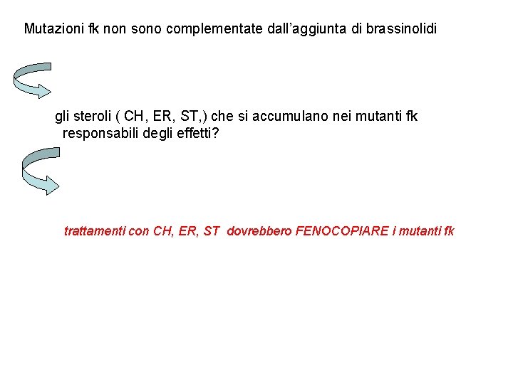 Mutazioni fk non sono complementate dall’aggiunta di brassinolidi gli steroli ( CH, ER, ST,