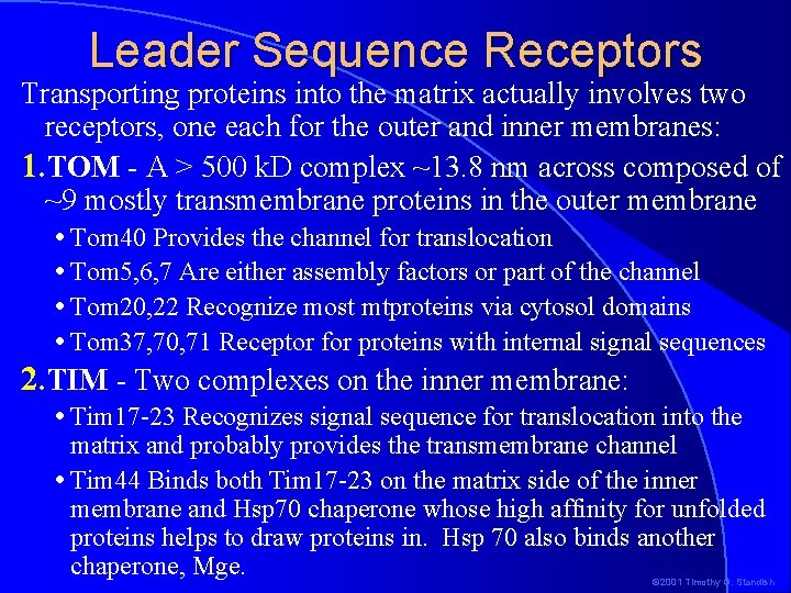 Leader Sequence Receptors Transporting proteins into the matrix actually involves two receptors, one each