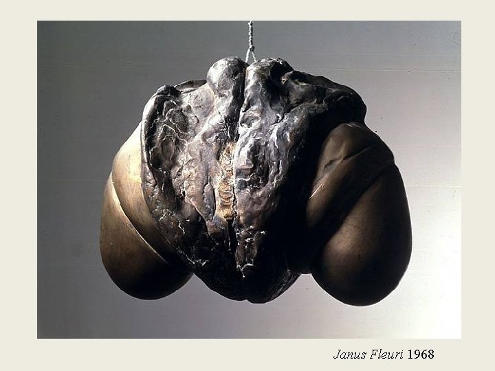 Janus Fleuri 1968 