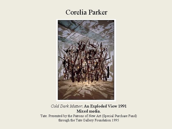 Corelia Parker Cold Dark Matter: An Exploded View 1991 Mixed media. Tate. Presented by