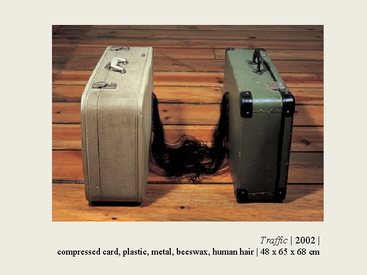 Traffic | 2002 | compressed card, plastic, metal, beeswax, human hair | 48 x