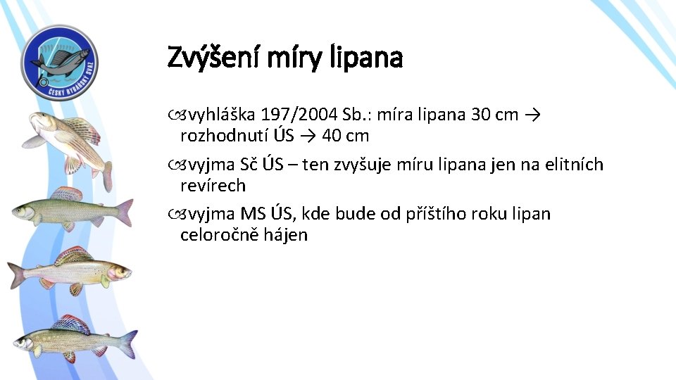 Zvýšení míry lipana vyhláška 197/2004 Sb. : míra lipana 30 cm → rozhodnutí ÚS