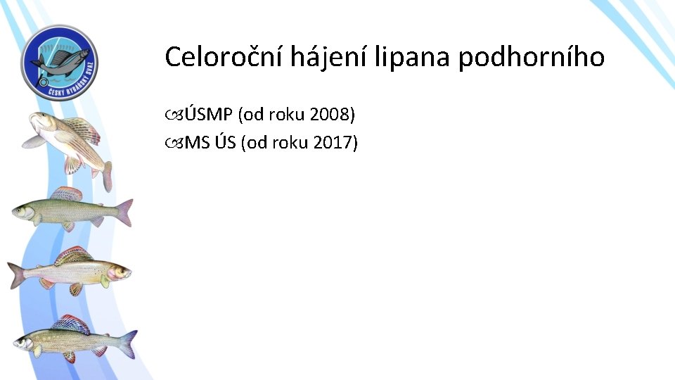 Celoroční hájení lipana podhorního ÚSMP (od roku 2008) MS ÚS (od roku 2017) 