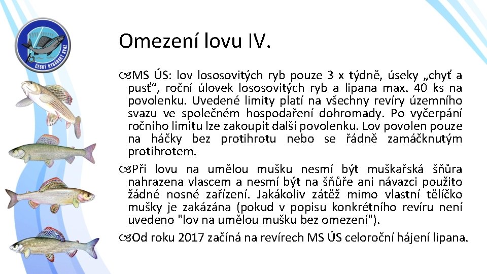 Omezení lovu IV. MS ÚS: lov lososovitých ryb pouze 3 x týdně, úseky „chyť
