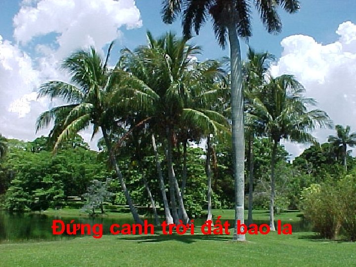 Đứng canh trời đất bao la 