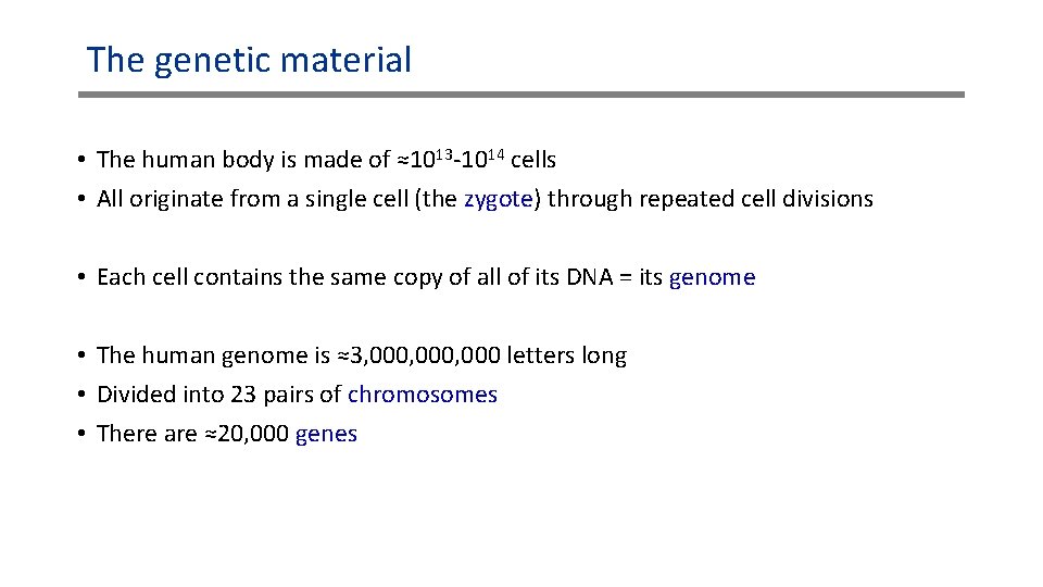 The genetic material • The human body is made of ≈1013 -1014 cells •