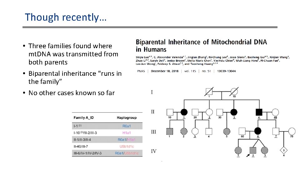 Though recently… • Three families found where mt. DNA was transmitted from both parents