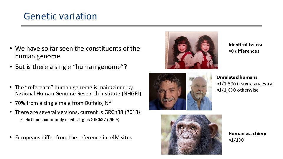 Genetic variation • We have so far seen the constituents of the human genome