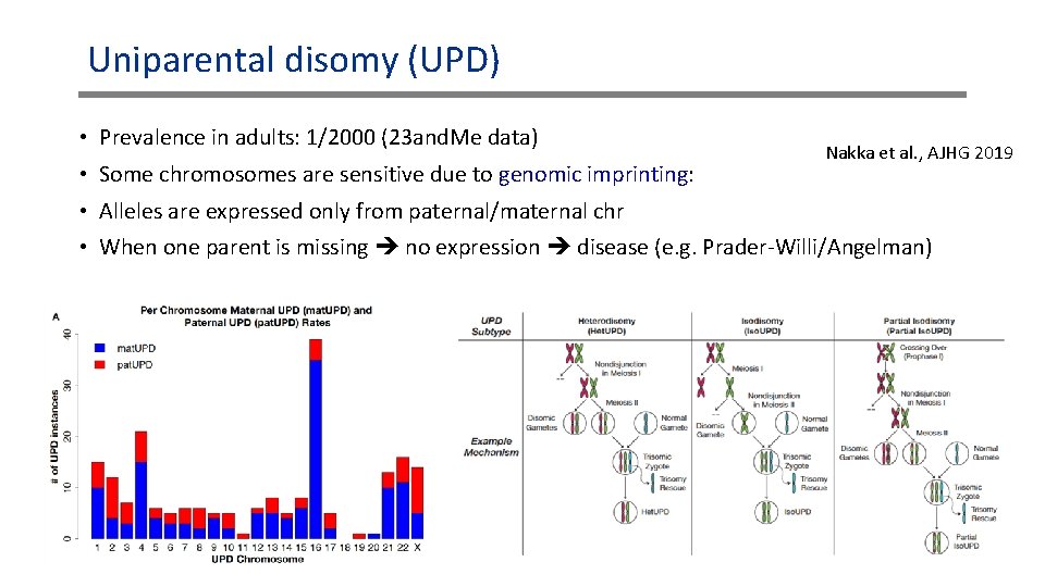 Uniparental disomy (UPD) • Prevalence in adults: 1/2000 (23 and. Me data) • Some