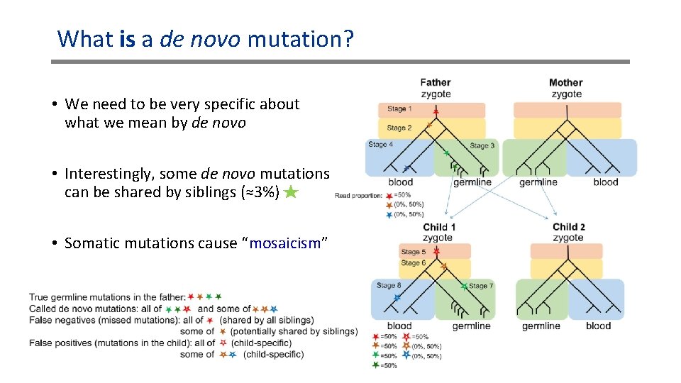 What is a de novo mutation? • We need to be very specific about