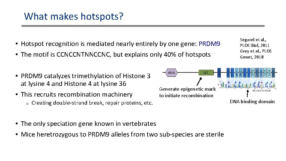 What makes hotspots? • Hotspot recognition is mediated nearly entirely by one gene: PRDM