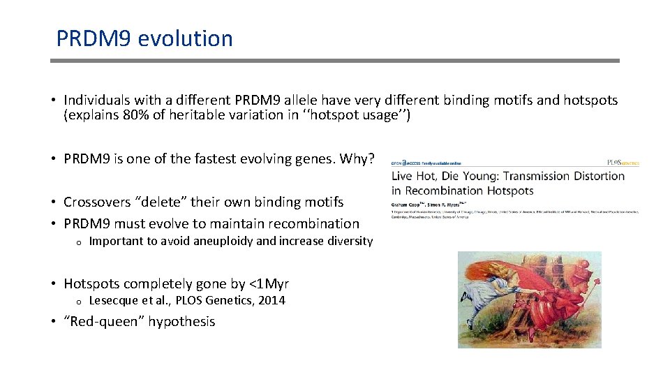 PRDM 9 evolution • Individuals with a different PRDM 9 allele have very different