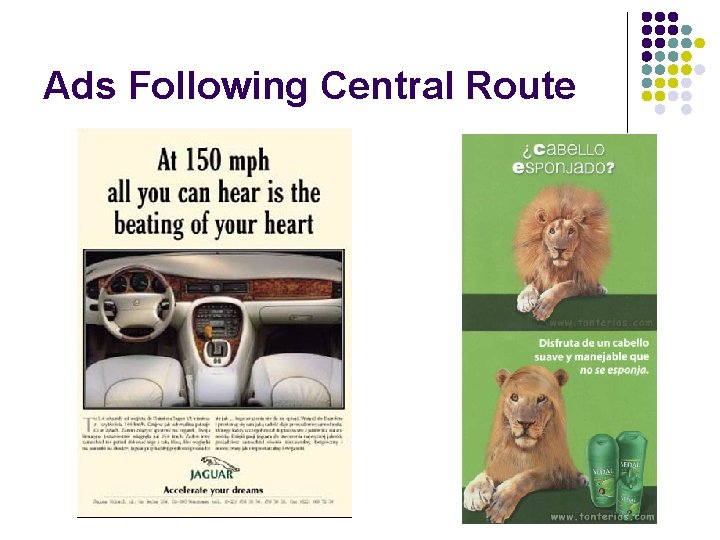 Ads Following Central Route 