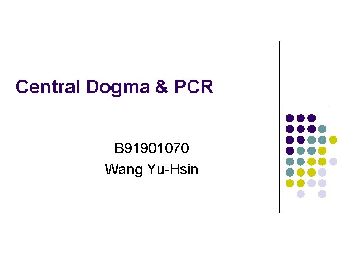Central Dogma & PCR B 91901070 Wang Yu-Hsin 