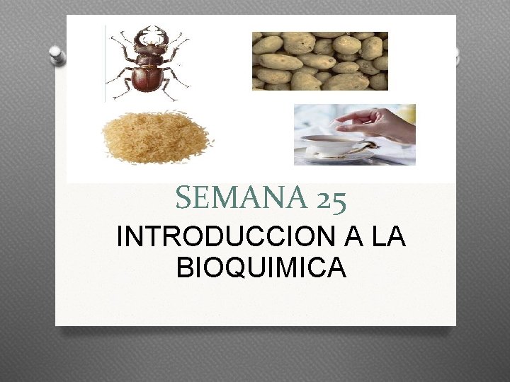 SEMANA 25 INTRODUCCION A LA BIOQUIMICA 