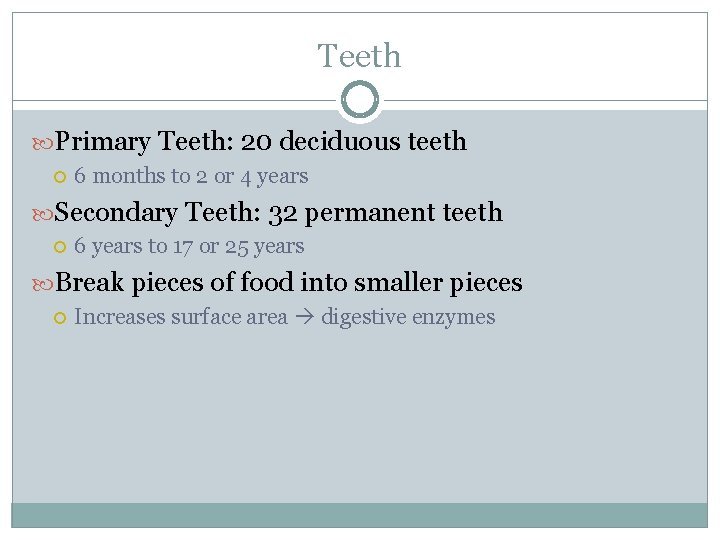 Teeth Primary Teeth: 20 deciduous teeth 6 months to 2 or 4 years Secondary