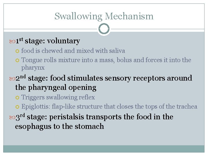 Swallowing Mechanism 1 st stage: voluntary food is chewed and mixed with saliva Tongue