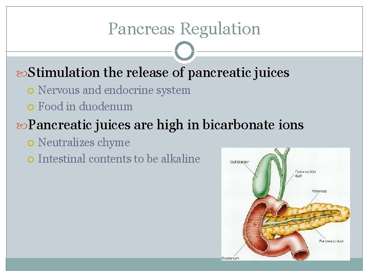 Pancreas Regulation Stimulation the release of pancreatic juices Nervous and endocrine system Food in